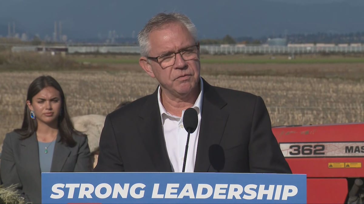 B.C. Conservatives platform promises $2.6B in growth, $10.8B deficit