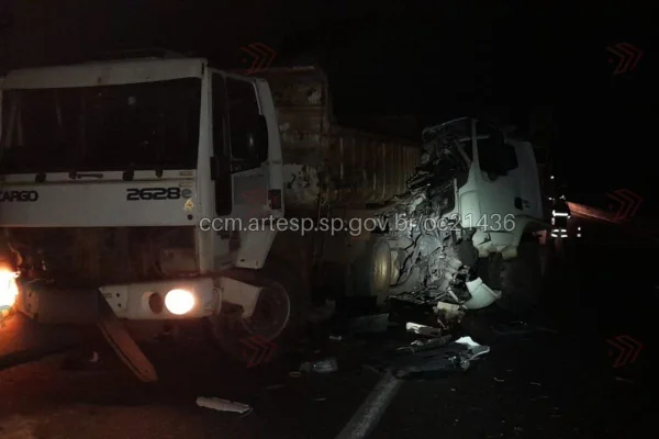 Caminhoneiro morre atropelado após descer no acostamento para ajudar colega - destaque galeria