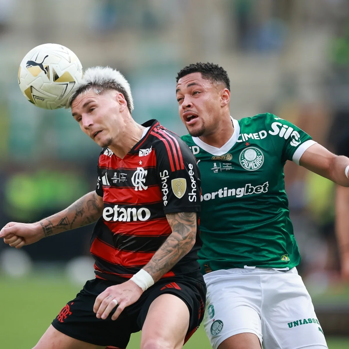 Palmeiras classifica nota do Flamengo contra a arbitragem como antiquada