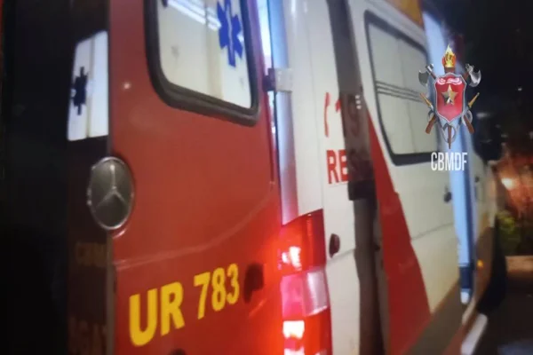 Ônibus derruba poste de iluminação na BR-020 e motorista fica ferido