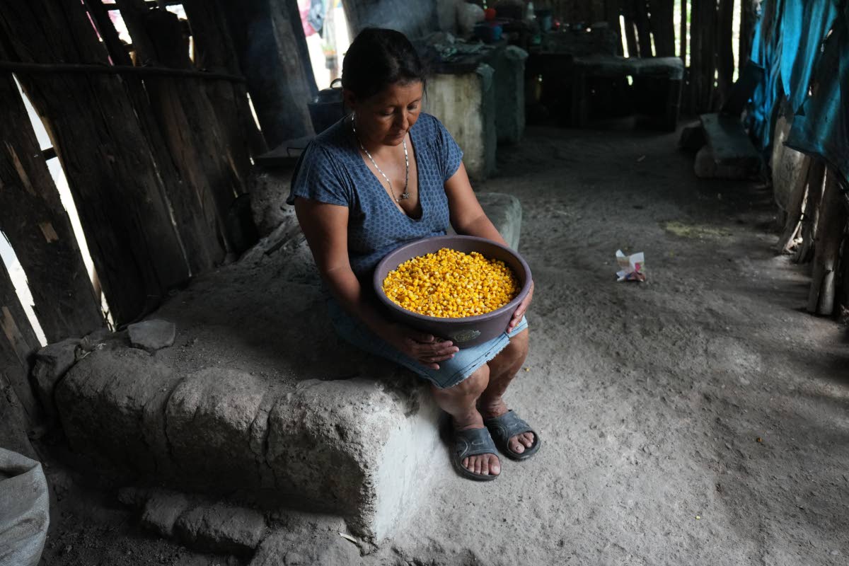 Glenda Suyapa Vasquez holds a bucket containing the corn she uses in one day to feed six people in her home in Texiguat, Honduras, part of the Central American Dry Corridor, Sunday, Oct. 11, 2026.