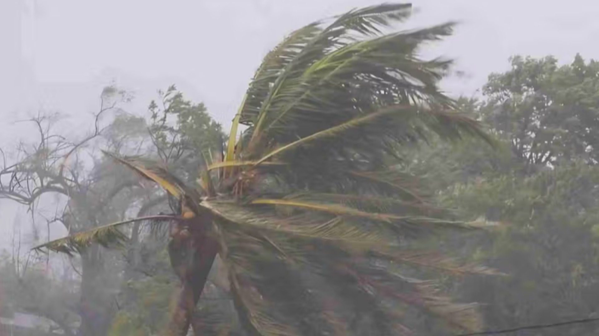 Um ou dois ciclones tropicais severos provavelmente afetarão o país.