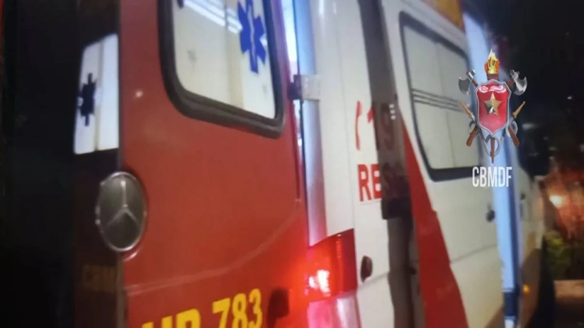 Ônibus derruba poste de iluminação na BR-020 e motorista fica ferido