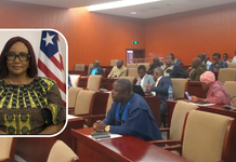 Grupo de Diáspora Liberiana "Roots & Returns" Anuncia o Palava Hut Pitch com Subsídios de US$ 250 a US$ 5.000 para Pequenas Empresas