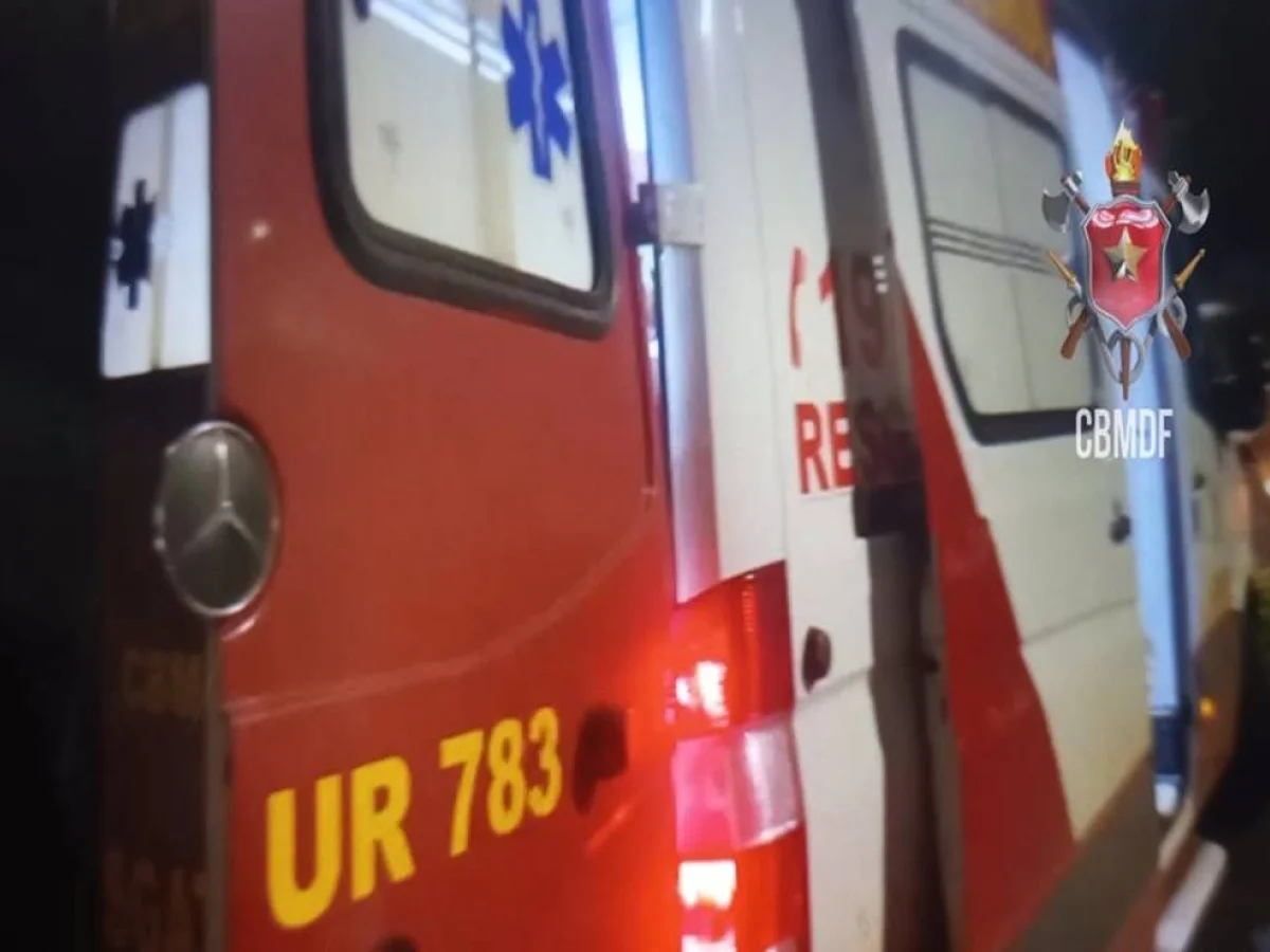Ônibus derruba poste de iluminação na BR-020 e motorista fica ferido